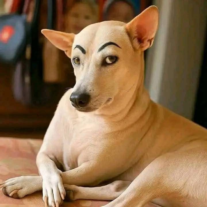 KOSTOTO # Forum Diskusi Resmi bagi Para Pecinta Permainan Online Berhadiah